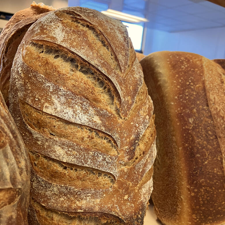 Country Rye & Sourdough Sandwich